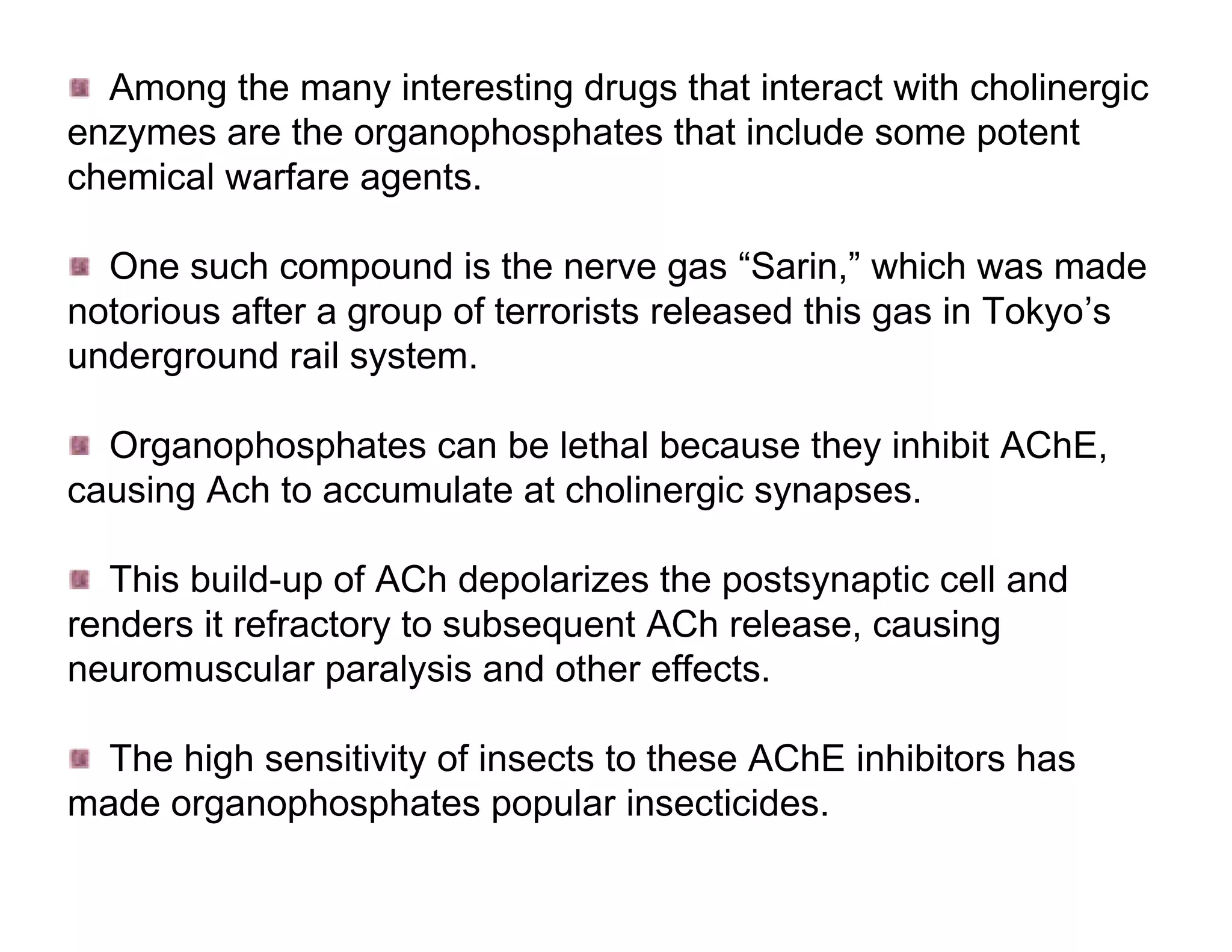 Among the many interesting drugs that interact with cholinergic
enzymes are the organophosphates that include some potent
chemical warfare agents.

  One such compound is the nerve gas “Sarin,” which was made
notorious after a group of terrorists released this gas in Tokyo’s
underground rail system.

  Organophosphates can be lethal because they inhibit AChE,
causing Ach to accumulate at cholinergic synapses.

  This build-up of ACh depolarizes the postsynaptic cell and
renders it refractory to subsequent ACh release, causing
neuromuscular paralysis and other effects.

  The high sensitivity of insects to these AChE inhibitors has
made organophosphates popular insecticides.
 