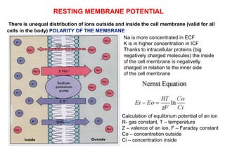 RESTING MEMBRANE POTENTIAL
There is unequal distribution of ions outside and inside the cell membrane (valid for all
cells in the body) POLARITY OF THE MEMBRANE
Na is more concentrated in ECF
K is in higher concentration in ICF
Thanks to intracellular proteins (big
negatively charged molecules) the inside
of the cell membrane is negativelly
charged in relation to the inner side
of the cell membrane
Calculation of equlibrium potential of an ion
R- gas constant, T – temperature
Z – valence of an ion, F – Faraday constant
Co – concentration outside
Ci – concentration inside
 