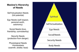 Maslow's Hierarchy
of Needs
Self Actualization Needs
(full potential)
Ego Needs (self respect,
personal worth,
autonomy)
Social Needs (love,
friendship, comradeship)
Security Needs
(protection from danger)
Physiological Needs
-Homeostasis
-(warmth, shelter, food)
 