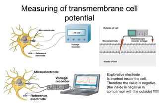Measuring of transmembrane cell
potential
Explorative electrode
Is insetred inside the cell,
Therefore the value is negative.
(the inside is negative in
comparison with the outside) !!!!!!
 