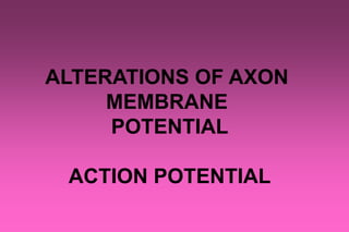 ALTERATIONS OF AXON
MEMBRANE
POTENTIAL
ACTION POTENTIAL
 