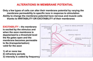 Only a few types of cells can alter their membrane potential by varying the
membrane permeability to specific ions in response to stimulation
Ability to change the membrane potential have nervous and muscle cells
thanks to IRRITABILITY OR EXCITABILITY of their membranes
EXCITABILITY – the membrane
is excited by the stimulus and
when the axon membrane is
depolarized to a threshold level
the Na gates open and the
membrane becomes permeable
to Na (transpolarization)
valid for the axon
1) all or none law
2) refractory periods
3) intensity is coded by frequency
ALTERATIONS IN MEMBRANE POTENTIAL
 