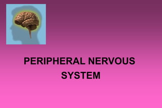 PERIPHERAL NERVOUS
SYSTEM
 