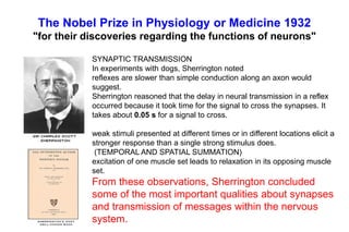 The Nobel Prize in Physiology or Medicine 1932
"for their discoveries regarding the functions of neurons"
SYNAPTIC TRANSMISSION
In experiments with dogs, Sherrington noted
reflexes are slower than simple conduction along an axon would
suggest.
Sherrington reasoned that the delay in neural transmission in a reflex
occurred because it took time for the signal to cross the synapses. It
takes about 0.05 s for a signal to cross.
weak stimuli presented at different times or in different locations elicit a
stronger response than a single strong stimulus does.
(TEMPORAL AND SPATIAL SUMMATION)
excitation of one muscle set leads to relaxation in its opposing muscle
set.
From these observations, Sherrington concluded
some of the most important qualities about synapses
and transmission of messages within the nervous
system.
 