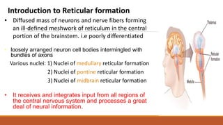 Neural Reticulum NEURO PHYSIOLOGY LECTURES.pptx