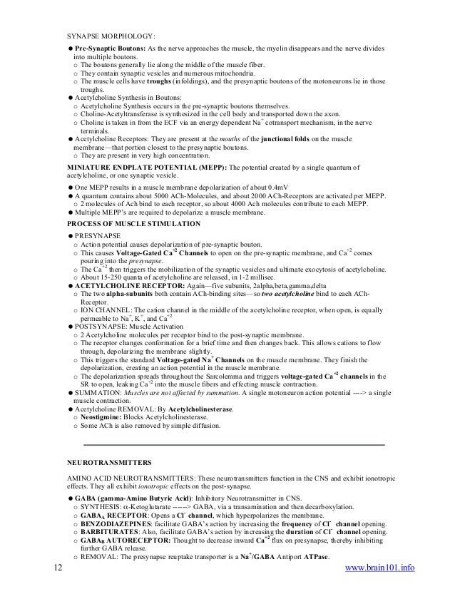 neuro physiology notes
