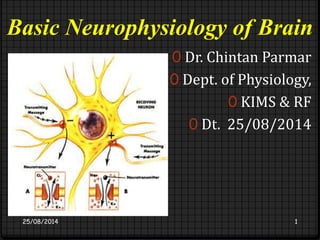 Basic Neurophysiology of Brain 
0 Dr. Chintan Parmar 
0 Dept. of Physiology, 
0 KIMS & RF 
0 Dt. 25/08/2014 
25/08/2014 1 
 