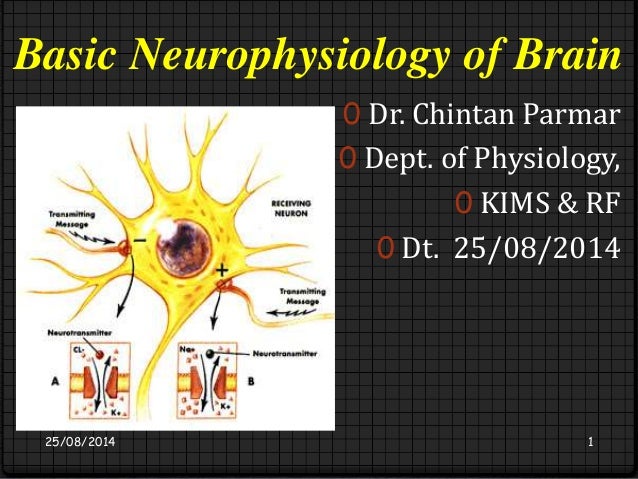 neurophysiology and learning Such perceptual learning can alter perceived hand position, but it is unclear how the neurophysiological basis of visuo-proprioceptive realignment and its. neurophysiology and learning Such perceptual learning can alter perceived hand position, but it is unclear how the neurophysiological basis of visuo-proprioceptive realignment and its.
