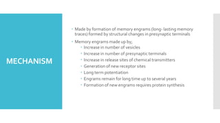 Neurophysiology of memory.pptx
