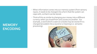 Memory Encoding Animation Neurophysiology of memory.pptx