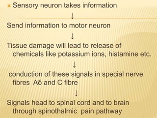 Why Pain Neurophysiology of pain | PPTX