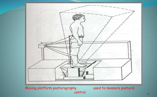 neurophysiology of posture-bishal_2014.pptx