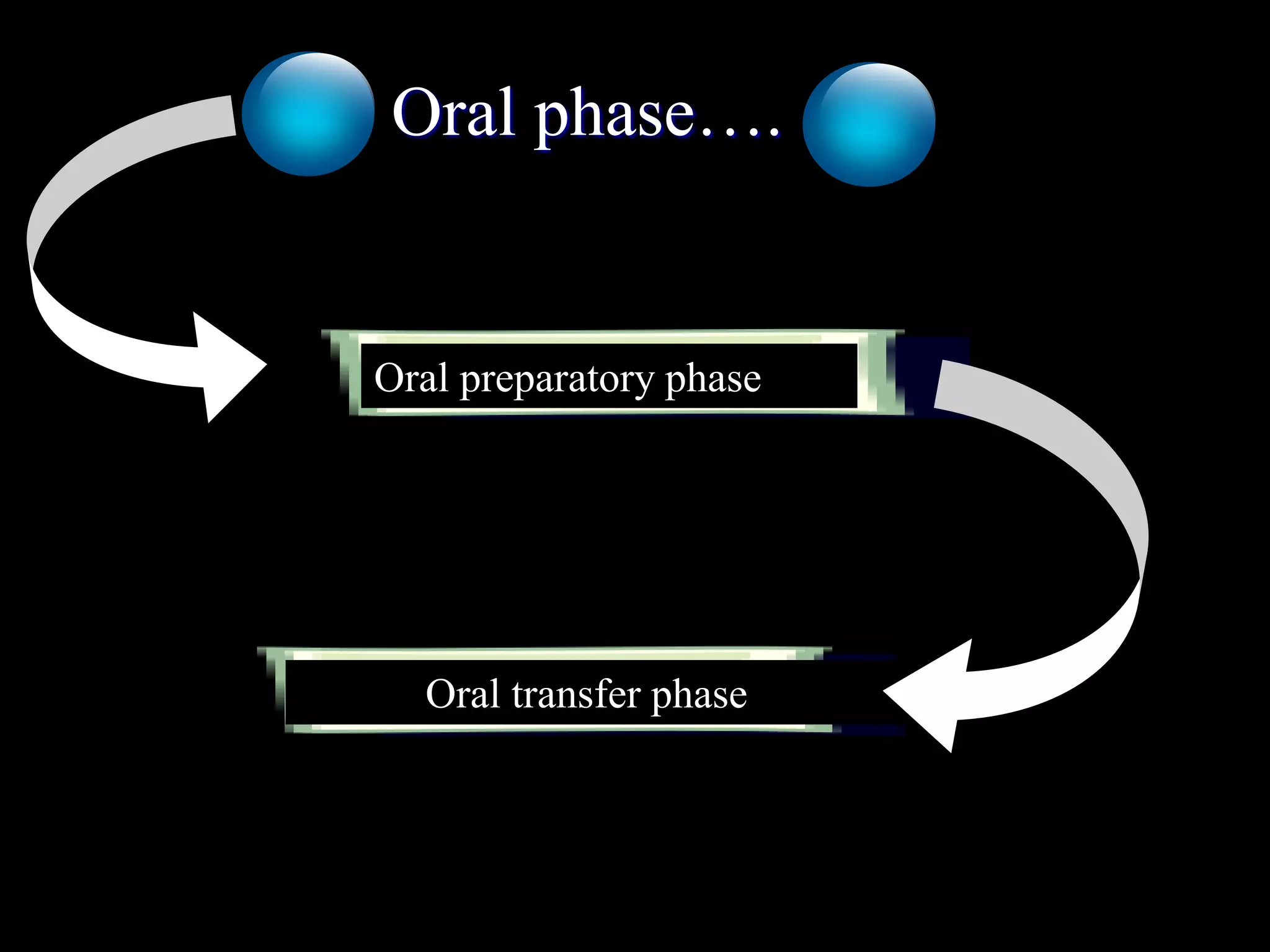 Anatomy and Neurophysiology of Swallowing | PDF