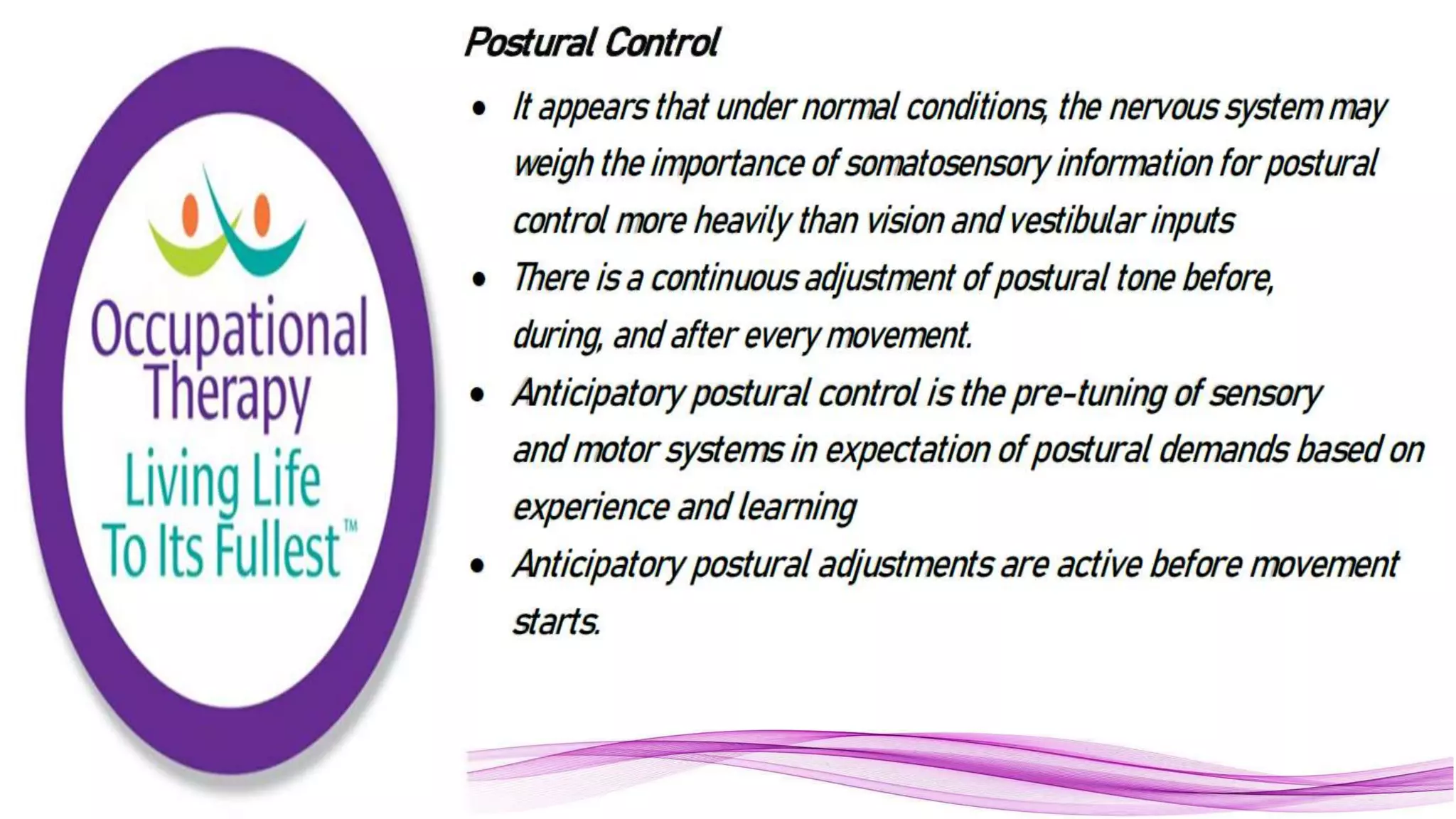 Neurophysiology part 7 Balance and Movement