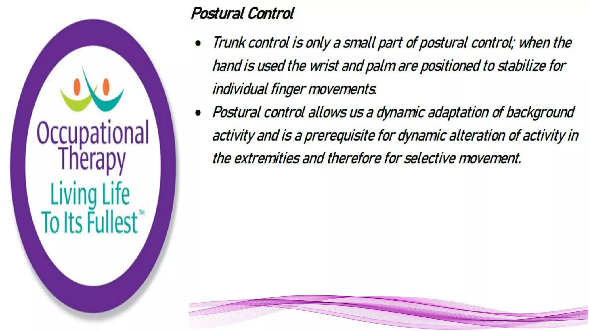 Neurophysiology part 7 Balance and Movement