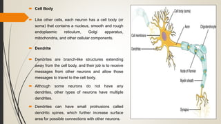 Neurophysiology | PPTX