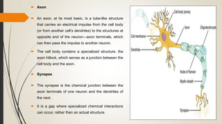 Neurophysiology | PPTX