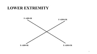 LOWER EXTREMITY
F-ABD-IR
F-ADD-ER
E-ABD-IR E-ADD-ER
77
 