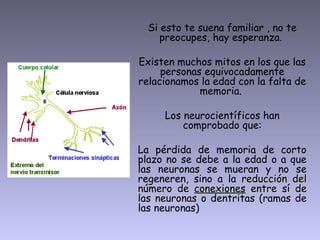 Neuropilates 1