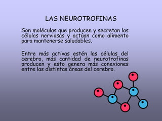 LAS NEUROTROFINAS
Son moléculas que producen y secretan las
células nerviosas y actúan como alimento
para mantenerse salud...