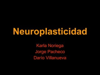 Neuroplasticidad Karla Noriega Jorge Pacheco Darío Villanueva 