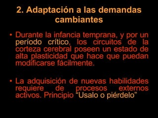 2. Adaptación a las demandas cambiantes Durante la infancia temprana, y por un  período crítico , los circuitos de la corteza cerebral poseen un estado de alta plasticidad que hace que puedan modificarse fácilmente. La adquisición de nuevas habilidades requiere de procesos externos activos. Principio  “Usalo o piérdelo” 