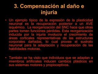 3. Compensación al daño e injuria Un ejemplo típico de la expresión de la plasticidad neuronal es la recuperación posterior a un AVE isquémico.  La reorganización del SNC hace que otras partes tomen funciones pérdidas. Esta reorganización inducida por la injuria involucra el crecimiento de áreas corticales representativas de las estructuras corporales dañadas, lo cual provee el sustrato neuronal para la adaptación y recuperación de las habilidades motoras. También se ha visto que individuos que se adaptan a miembros artificiales inducen cambios plásticos en sus sistemas motores y propioceptivos. 