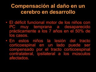 Compensación al daño en un cerebro en desarrollo El déficit funcional motor de los niños con PC muy temprana a desaparecido prácticamente a los 7 años en el 50% de los casos. En estos niños la lesión del tracto corticoespinal en un lado puede ser compensado por el tracto corticoespinal contralateral, ipsilateral a los músculos afectados. 