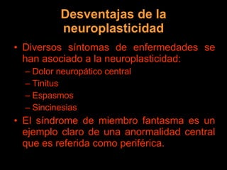 Desventajas de la neuroplasticidad Diversos síntomas de enfermedades se han asociado a la neuroplasticidad: Dolor neuropático central Tinitus Espasmos Sincinesias El síndrome de miembro fantasma es un ejemplo claro de una anormalidad central que es referida como periférica. 