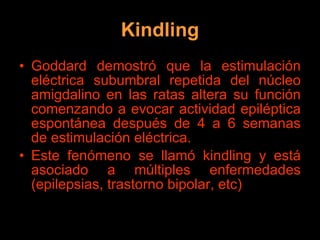 Kindling Goddard demostró que la estimulación eléctrica subumbral repetida del núcleo amigdalino en las ratas altera su función comenzando a evocar actividad epiléptica espontánea después de 4 a 6 semanas de estimulación eléctrica. Este fenómeno se llamó kindling y está asociado a múltiples enfermedades (epilepsias, trastorno bipolar, etc) 