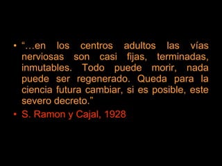 “… en los centros adultos las vías nerviosas son casi fijas, terminadas, inmutables. Todo puede morir, nada puede ser regenerado. Queda para la ciencia futura cambiar, si es posible, este severo decreto.” S. Ramon y Cajal, 1928 