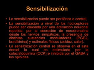 Sensibilización La sensibilización puede ser periférica o central. La sensibilización a nivel de los nociceptores puede ser causada por una activación neuronal repetida, por la secreción de noradrenalina desde los nervios simpáticos, la presencia de distintas sustancias moduladoras (PGE2, bradikinina) y estímulos físicos (acidez, calor). La sensiblización central se observa en el asta dorsal la cual es estimulada por la colecistoquinina (CCK) e inhibida por el GABA y los opioides. 