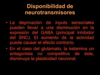 Disponibilidad de neurotransmisores La deprivación de inputs sensoriales pueden llevar a una disminución en la expresión del GABA (principal inhibidor del SNC). El aumento de la actividad puede causar el efecto contrario. En el caso del glutamato, la ketamina un antagonista no competitivo de éste, disminuye la plasticidad neuronal. 