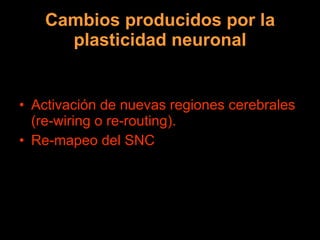Cambios producidos por la plasticidad neuronal Activación de nuevas regiones cerebrales (re-wiring o re-routing). Re-mapeo del SNC 