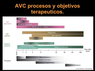 AVC procesos y objetivos terapeuticos. 