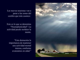 Las nuevas neuronas van a parar a las zonas del cerebro que más usamos:  Esto es lo que se denomina “Neuroplasticidad”: La actividad puede moldear la mente. “ Esto demuestra la importancia de mantener una actividad mental intensa, conforme avanzamos en edad.” 