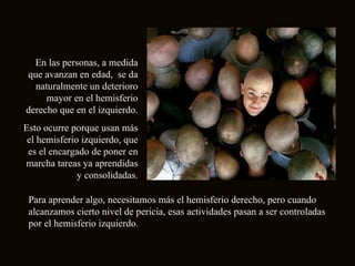 En las personas, a medida que avanzan en edad,  se da naturalmente un deterioro mayor en el hemisferio derecho que en el izquierdo. Esto ocurre porque usan más el hemisferio izquierdo, que es el encargado de poner en marcha tareas ya aprendidas y consolidadas. Para aprender algo, necesitamos más el hemisferio derecho, pero cuando alcanzamos cierto nivel de pericia, esas actividades pasan a ser controladas por el hemisferio izquierdo.  