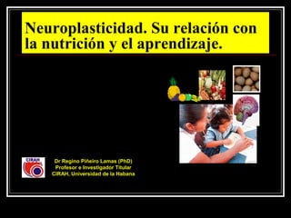 Neuroplasticidad. Su relación con
la nutrición y el aprendizaje.
Dr Regino Piñeiro Lamas (PhD)
Profesor e Investigador Titular
CIRAH, Universidad de la Habana
 