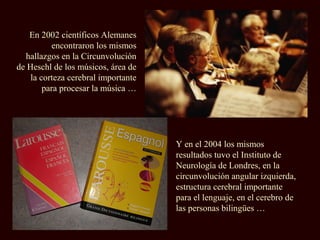 En 2002 científicos Alemanes
encontraron los mismos
hallazgos en la Circunvolución
de Heschl de los músicos, área de
la corteza cerebral importante
para procesar la música …
Y en el 2004 los mismos
resultados tuvo el Instituto de
Neurología de Londres, en la
circunvolución angular izquierda,
estructura cerebral importante
para el lenguaje, en el cerebro de
las personas bilingües …
 