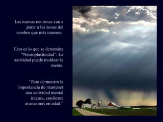 Las nuevas neuronas van a
parar a las zonas del
cerebro que más usamos:
Esto es lo que se denomina
“Neuroplasticidad”: La
actividad puede moldear la
mente.
“Esto demuestra la
importancia de mantener
una actividad mental
intensa, conforme
avanzamos en edad.”
 