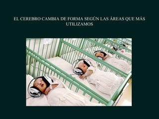 EL CEREBRO CAMBIA DE FORMA SEGÚN LAS ÁREAS QUE MÁS
UTILIZAMOS
 