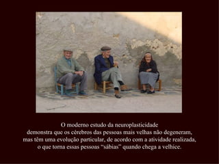 O moderno estudo da neuroplasticidade demonstra que os cérebros das pessoas mais velhas não degeneram, mas têm uma evolução particular, de acordo com a atividade realizada, o que torna essas pessoas “sábias” quando chega a velhice. 