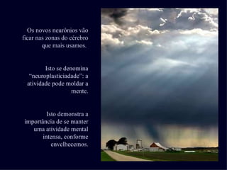 Os novos neurônios vão ficar nas zonas do cérebro que mais usamos.  Isto se denomina “neuroplasticiadade”: a atividade pode moldar a mente. Isto demonstra a importância de se manter uma atividade mental intensa, conforme envelhecemos. 
