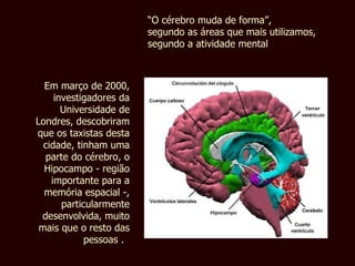 Em março de 2000, investigadores da Universidade de Londres, descobriram que os taxistas desta cidade, tinham uma parte do cérebro, o Hipocampo - região importante para a memória espacial -, particularmente desenvolvida, muito mais que o resto das pessoas .   “ O cérebro muda de forma”,  segundo as áreas que mais utilizamos, segundo a atividade mental 
