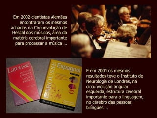 Em 2002 cientistas Alemães encontraram os mesmos achados na Circunvolução de Heschl dos músicos, área da matéria cerebral importante para processar a música … E em 2004 os mesmos resultados teve o Instituto de Neurologia de Londres, na circunvolução angular esquerda, estrutura cerebral importante para o linguagem, no cérebro das pessoas  bilíngües …  