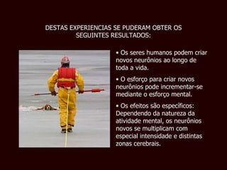 Os seres humanos podem criar novos neurônios ao longo de toda a vida. O esforço para criar novos neurônios pode incrementar-se mediante o esforço mental. Os efeitos são específicos: Dependendo da natureza da atividade mental, os neurônios novos se multiplicam com especial intensidade e distintas zonas cerebrais. DESTAS EXPERIENCIAS SE PUDERAM OBTER OS SEGUINTES RESULTADOS: 