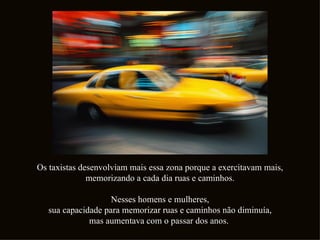Os taxistas desenvolviam mais essa zona porque a exercitavam mais,
              memorizando a cada dia ruas e caminhos.

                    Nesses homens e mulheres,
   sua capacidade para memorizar ruas e caminhos não diminuía,
              mas aumentava com o passar dos anos.
 