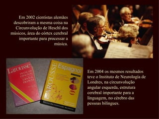 Em 2002 cientistas alemães
 descobriram a mesma coisa na
  Circunvolução de Heschl dos
músicos, área do córtex cerebral
    importante para processar a
                        música.




                                   Em 2004 os mesmos resultados
                                   teve o Instituto de Neurología de
                                   Londres, na circunvolução
                                   angular esquerda, estrutura
                                   cerebral importante para a
                                   linguagem, no cérebro das
                                   pessoas bilíngues.
 
