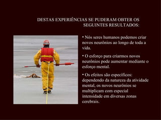 DESTAS EXPERIÊNCIAS SE PUDERAM OBTER OS
                  SEGUINTES RESULTADOS:

                 • Nós seres humanos podemos criar
                 novos neurônios ao longo de toda a
                 vida.
                 • O esforço para criarmos novos
                 neurônios pode aumentar mediante o
                 esforço mental.
                 • Os efeitos são específicos:
                 dependendo da natureza da atividade
                 mental, os novos neurônios se
                 multiplicam com especial
                 intensidade em diversas zonas
                 cerebrais.
 