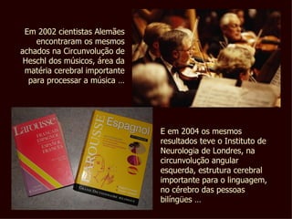 Em 2002 cientistas Alemães encontraram os mesmos achados na Circunvolução de Heschl dos músicos, área da matéria cerebral importante para processar a música … E em 2004 os mesmos resultados teve o Instituto de Neurologia de Londres, na circunvolução angular esquerda, estrutura cerebral importante para o linguagem, no cérebro das pessoas  bilíngües …  